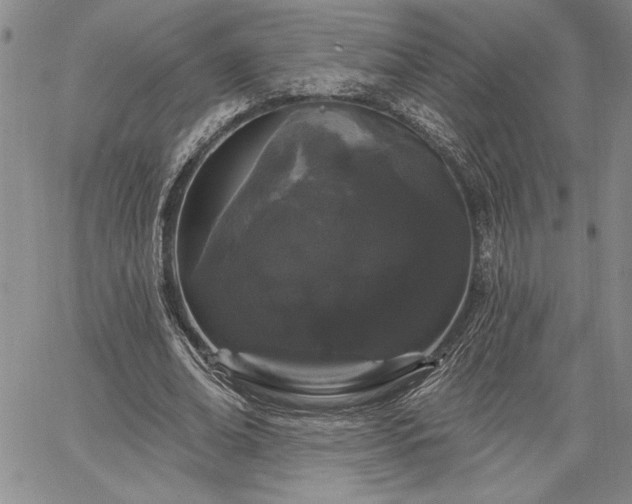 X0000064720678200602171617