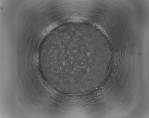 X0000064720679200602171617