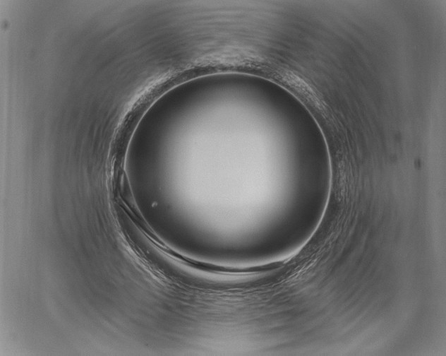 X0000064720680200602171617