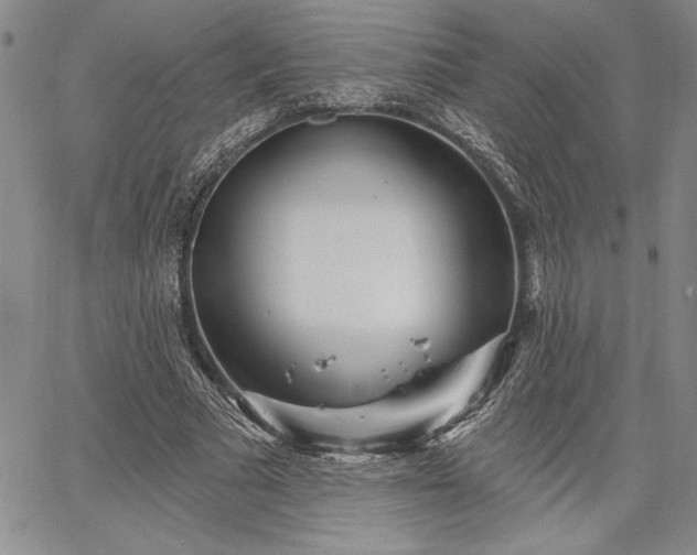 X0000064720681200602171617