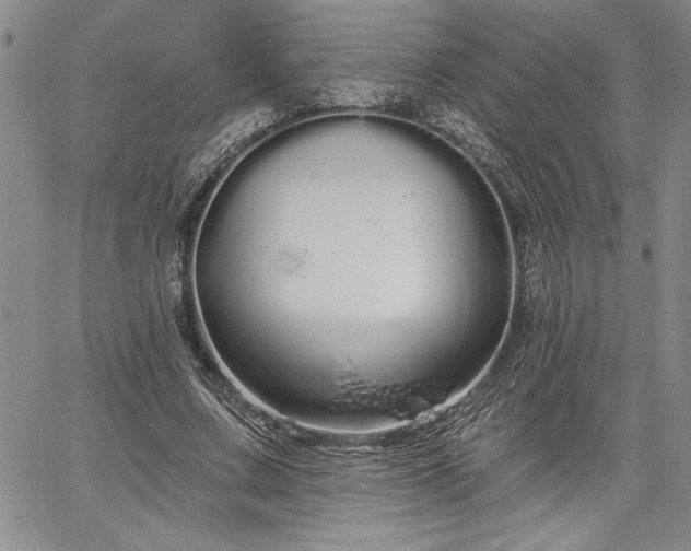 X0000064720683200602171617