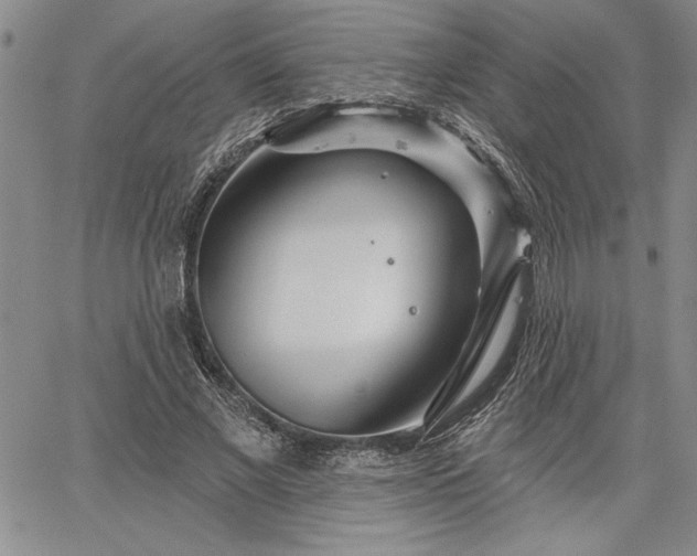 X0000064720685200602171617