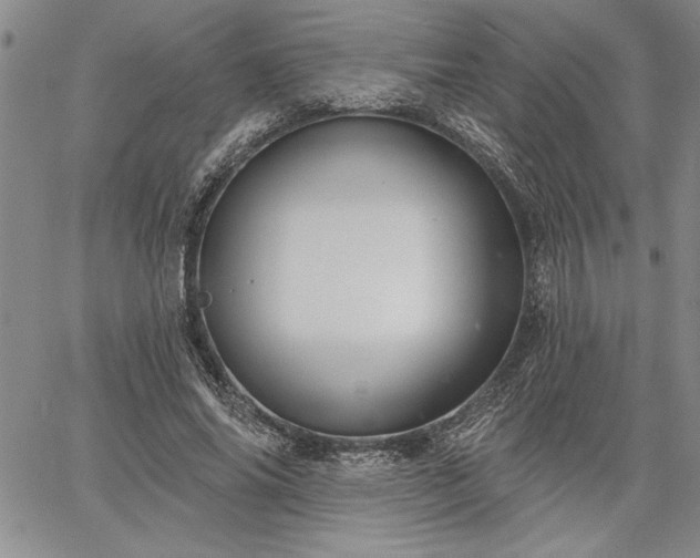 X0000064720686200602171616