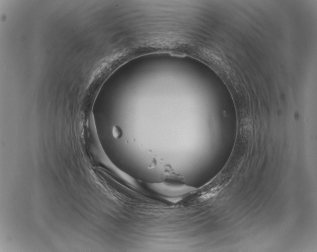 X0000064720688200602171616