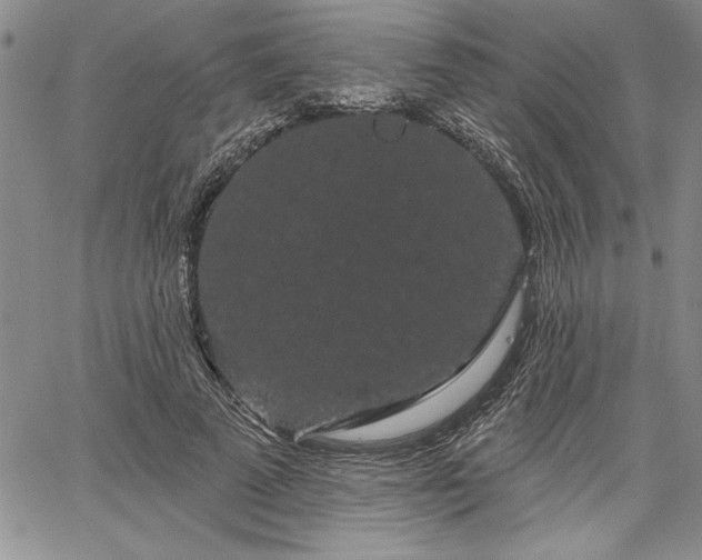 X0000064720689200602171616