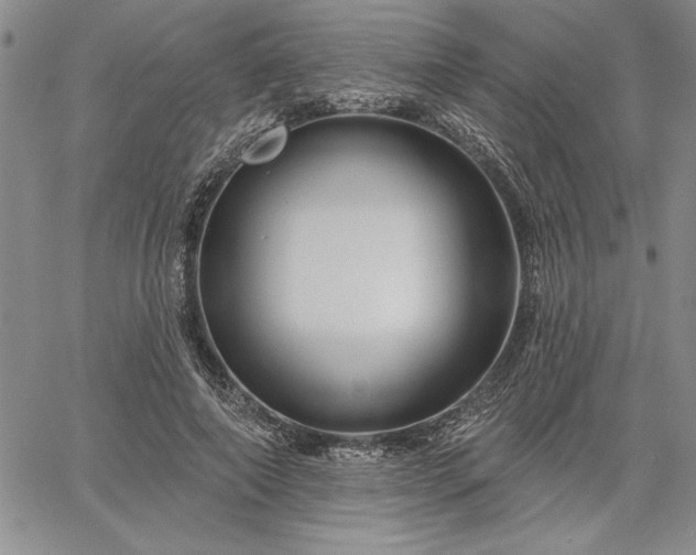 X0000064720690200602171616