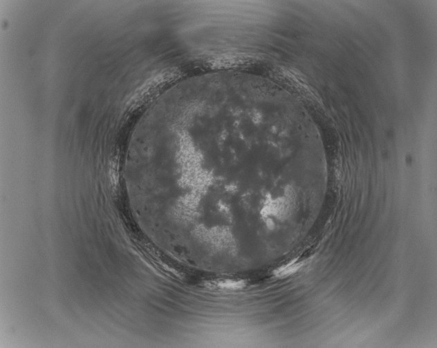 X0000064720691200602171616