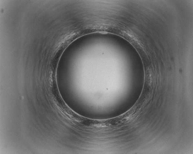 X0000064720692200602171616