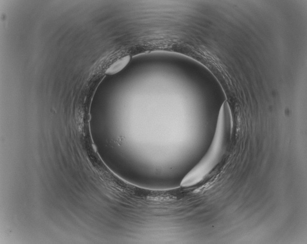 X0000064720693200602171616