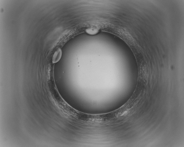 X0000064720694200602171616