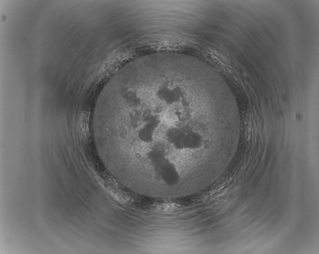 X0000064720695200602171616