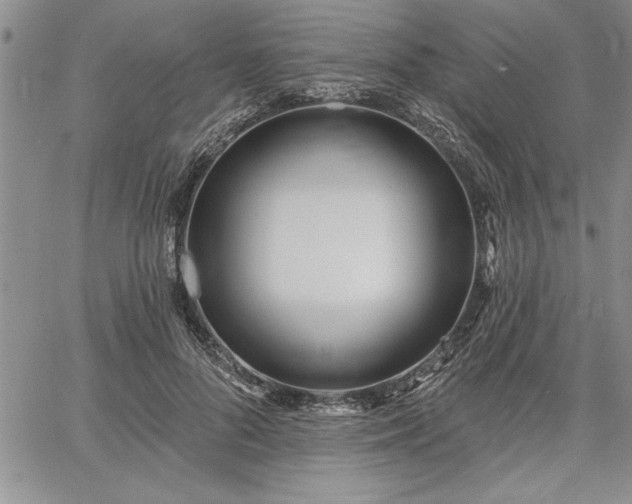 X0000064720696200602171616