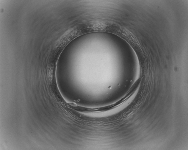 X0000064720697200602171616