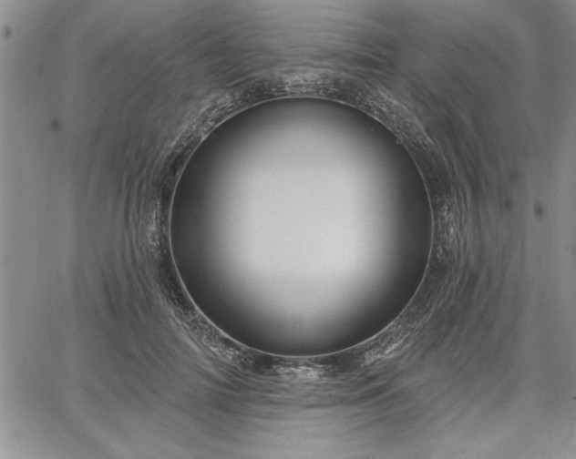 X0000064720698200602171616