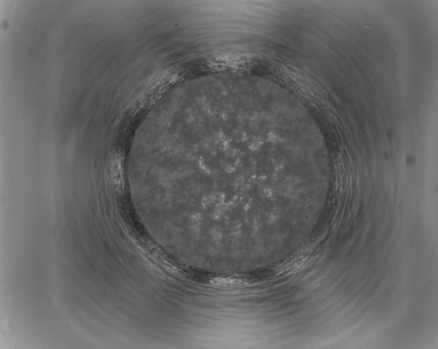 X0000064720699200602171616