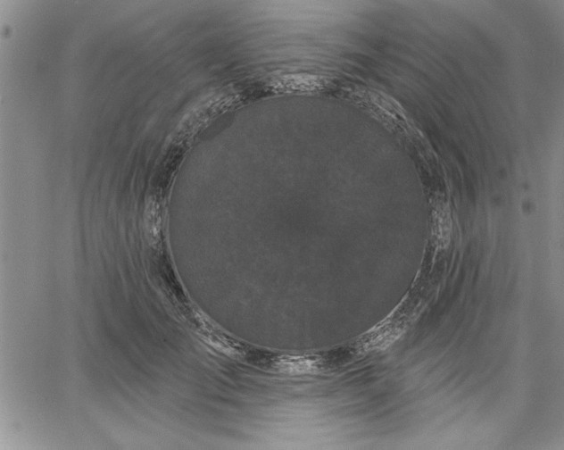 X0000064720701200602171616