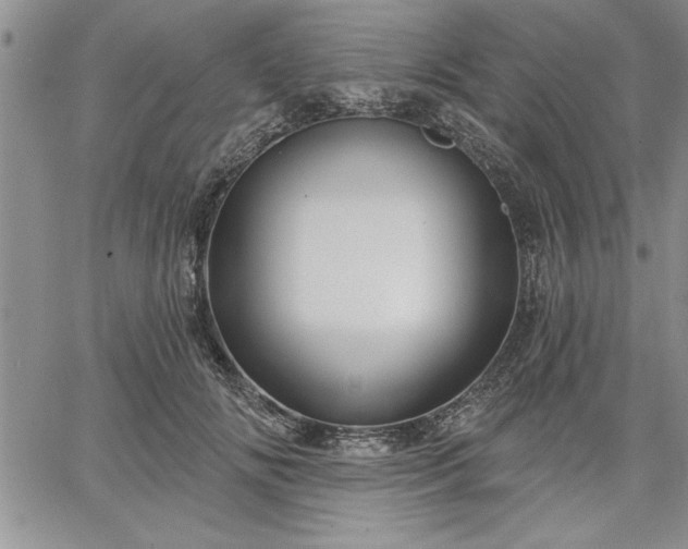 X0000064720702200602171616