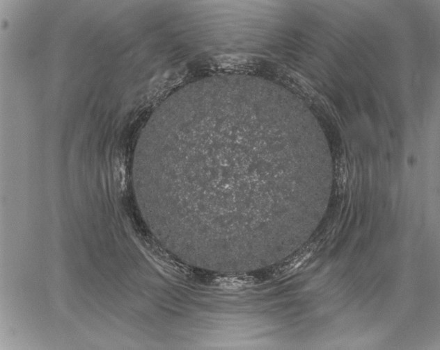 X0000064720703200602171616