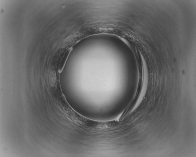 X0000064720704200602171616