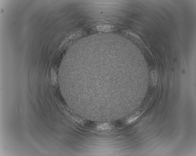 X0000064720705200602171616