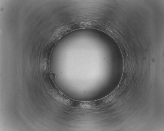 X0000064720706200602171616