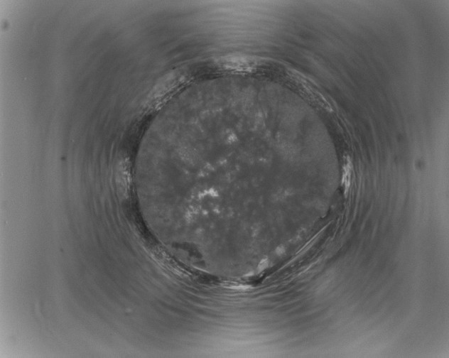 X0000064720707200602171616