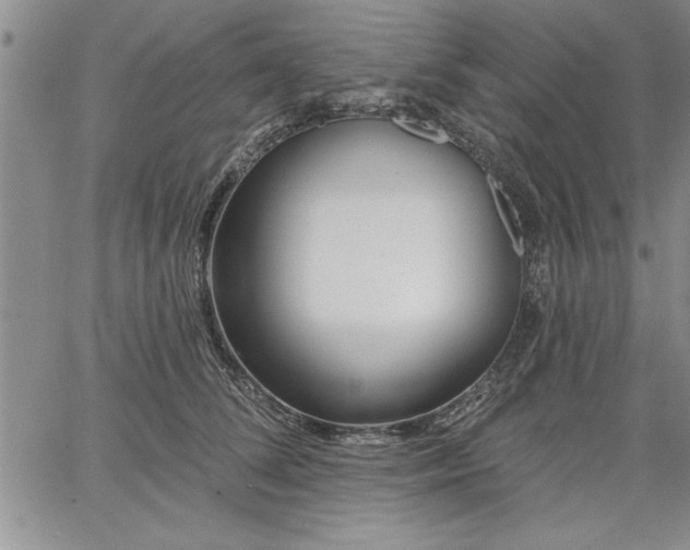 X0000064720708200602171616