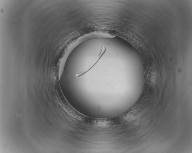 X0000064720710200602171616