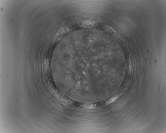 X0000064720711200602171616