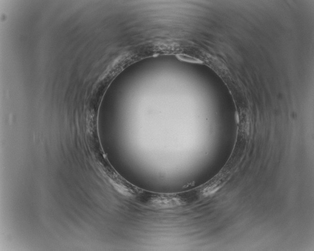 X0000064720712200602171616