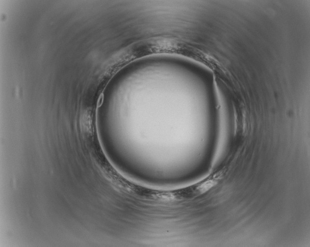 X0000064720715200602171616