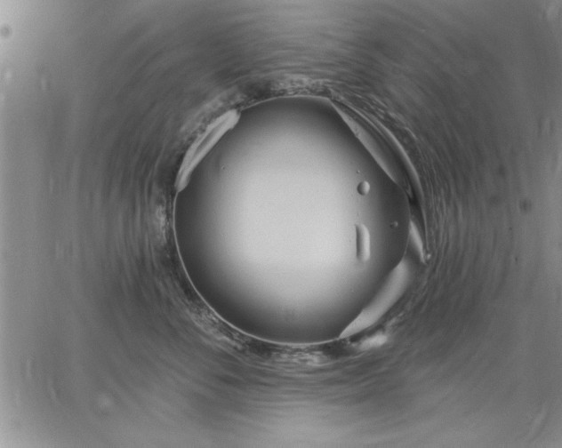 X0000064720716200602171616