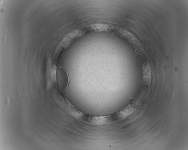 X0000064720717200602171616