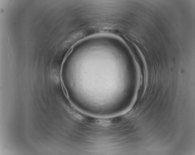 X0000064720719200602171616