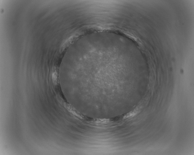 X0000064720720200602171616