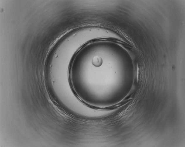 X0000064720722200602171615