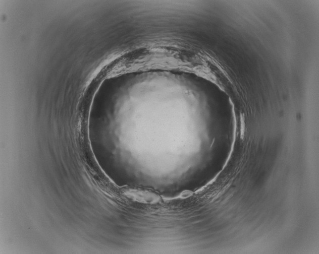 X0000064720723200602171615