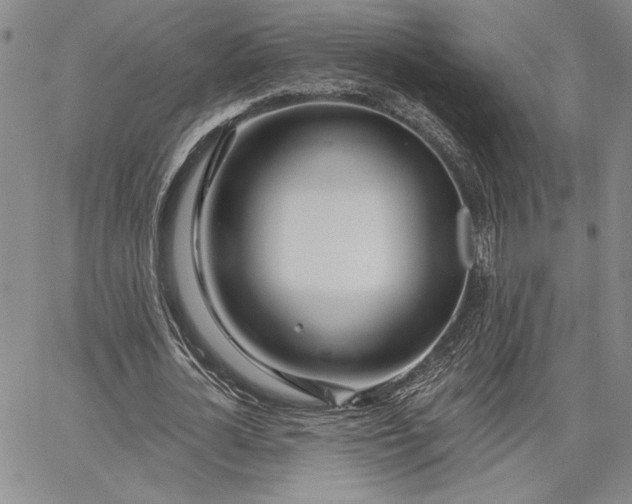 X0000064720724200602171615