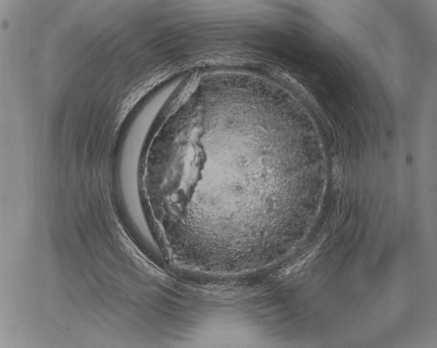 X0000064720725200602171615