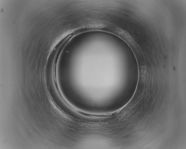 X0000064720726200602171615