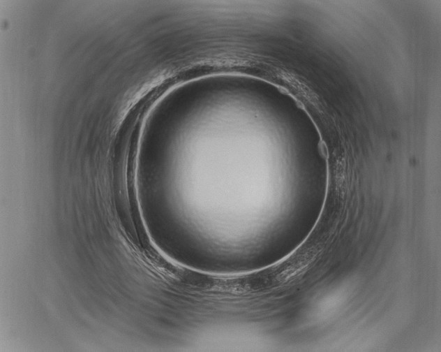 X0000064720727200602171615