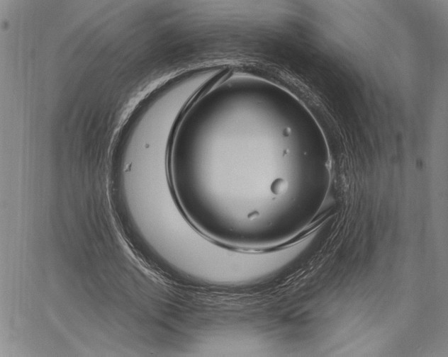 X0000064720728200602171615