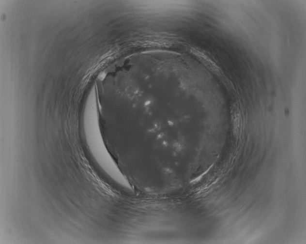 X0000064720729200602171615