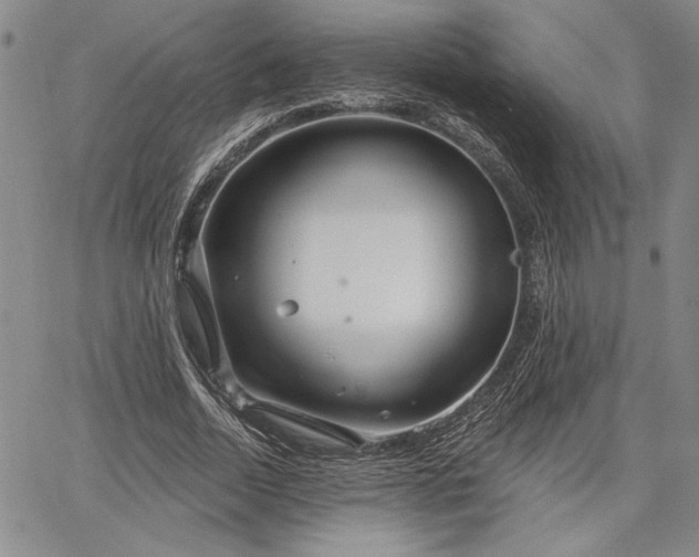 X0000064720730200602171615