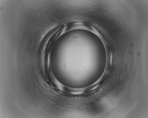 X0000064720731200602171615