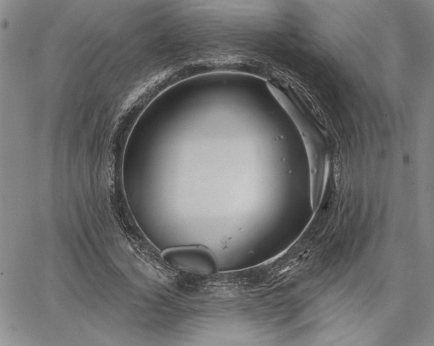 X0000064720732200602171615