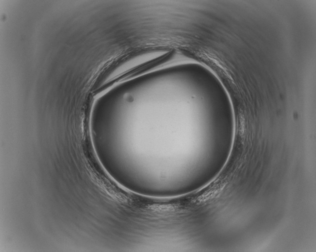 X0000064720733200602171615