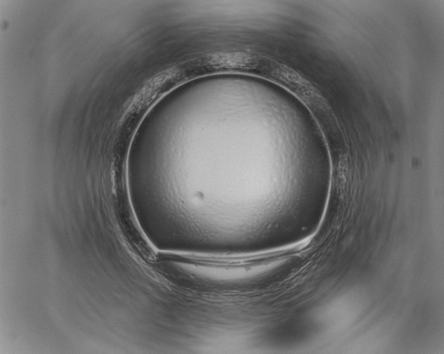 X0000064720734200602171615