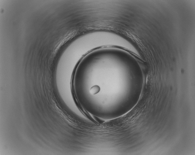 X0000064720735200602171615