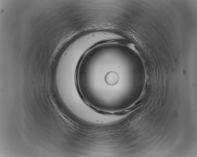 X0000064720736200602171615